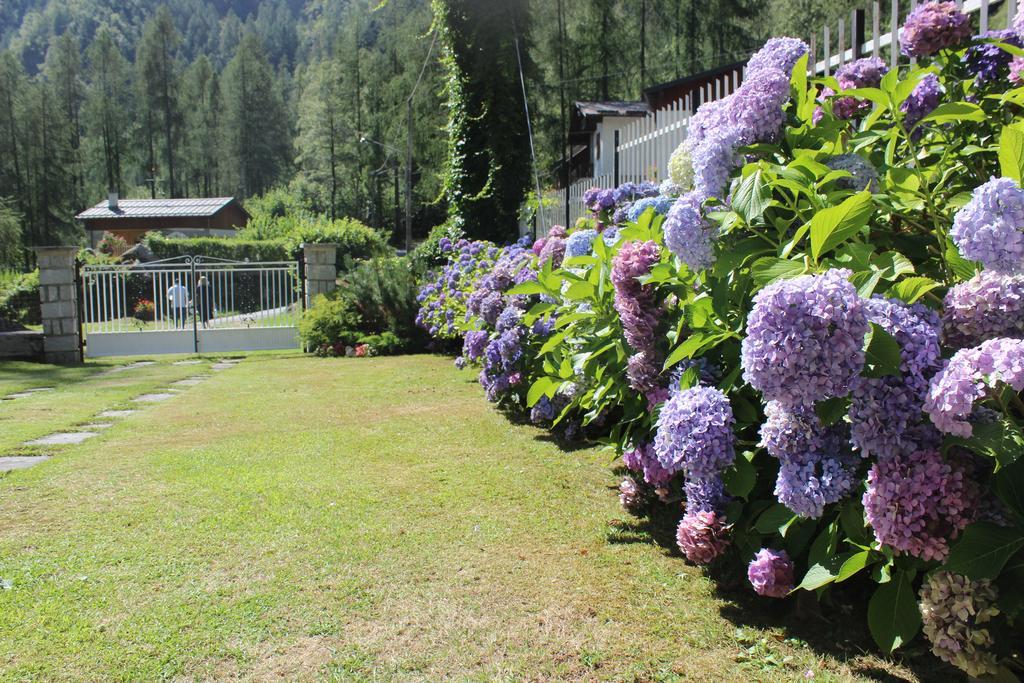 Villa Egle Antronapiana Luaran gambar